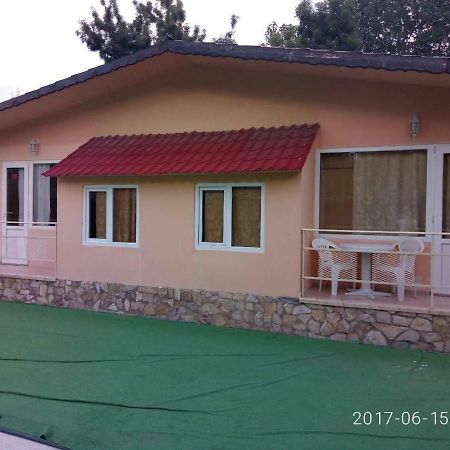 קרנבו Вили Бийчхаус מראה חיצוני תמונה